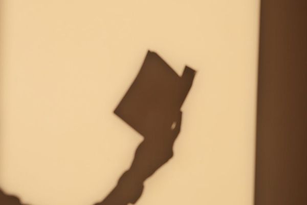 Person holding a light dumbbell, focusing on their form.